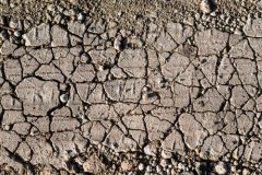 不使用測(cè)土儀?如何辨別土壤肥瘦?