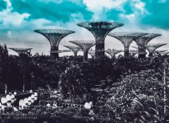 醫院、餐廳、干洗店也有VOCs排放?